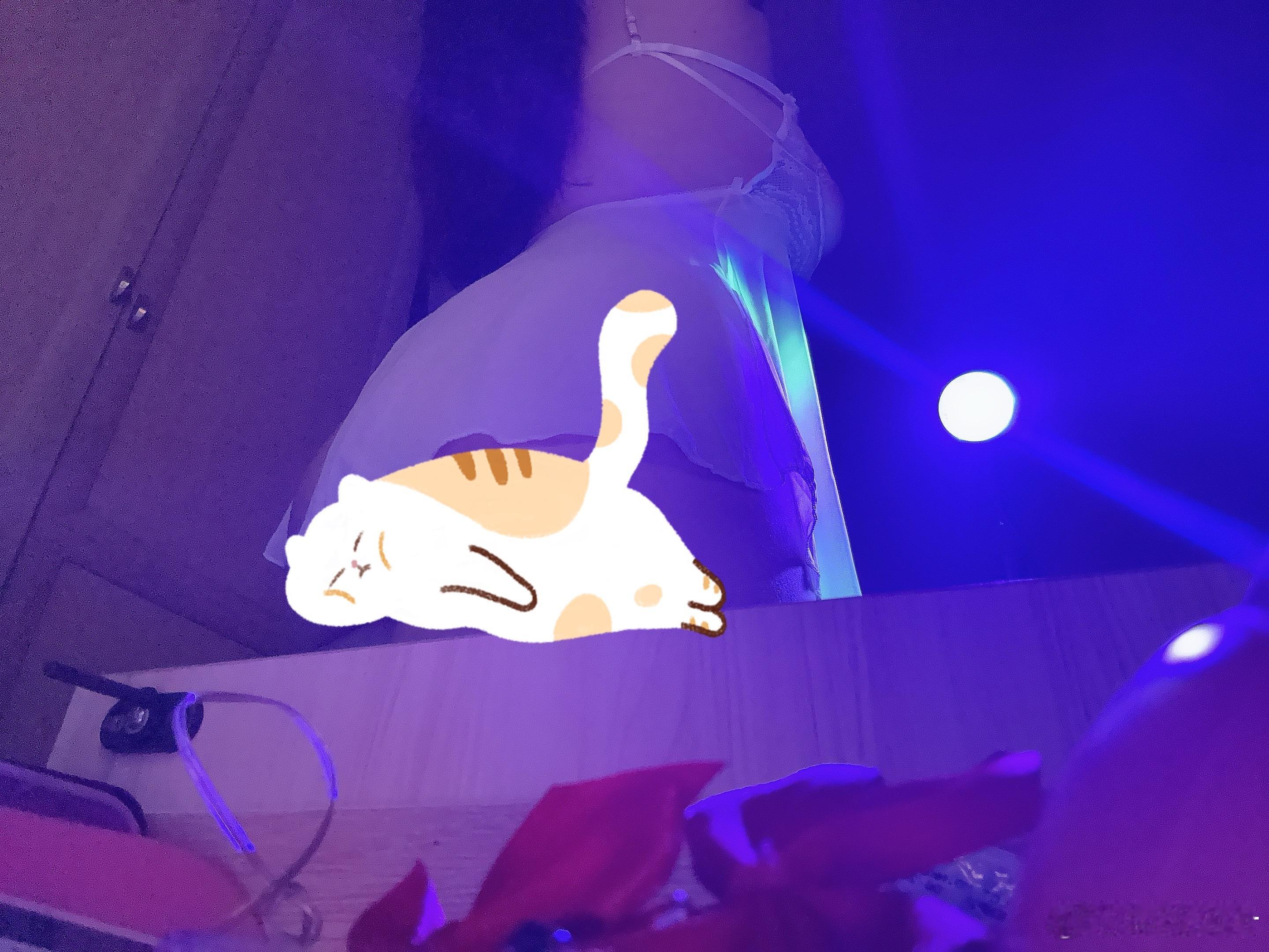 好久不见 ​​​