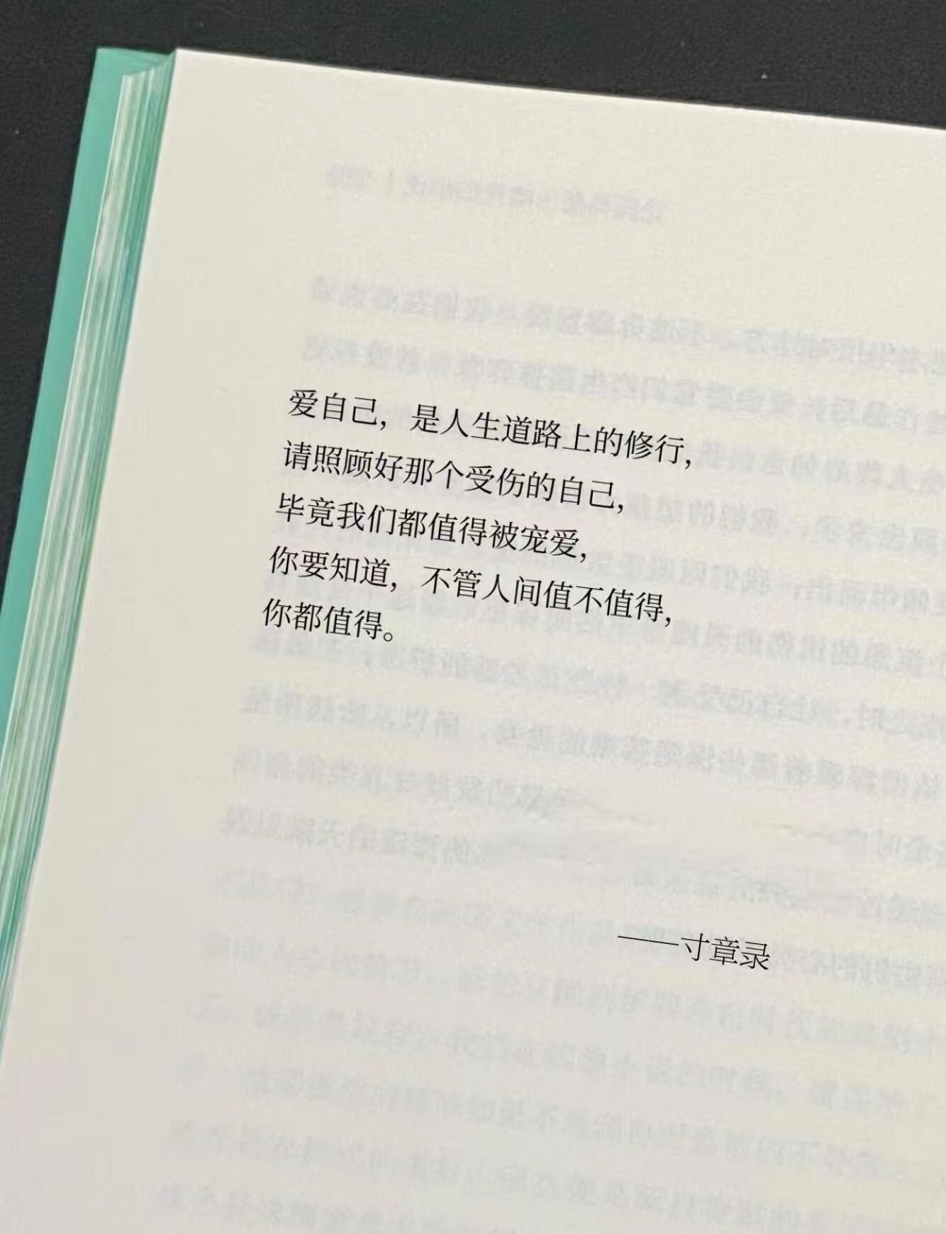 这句写的太好了，好喜欢！ 