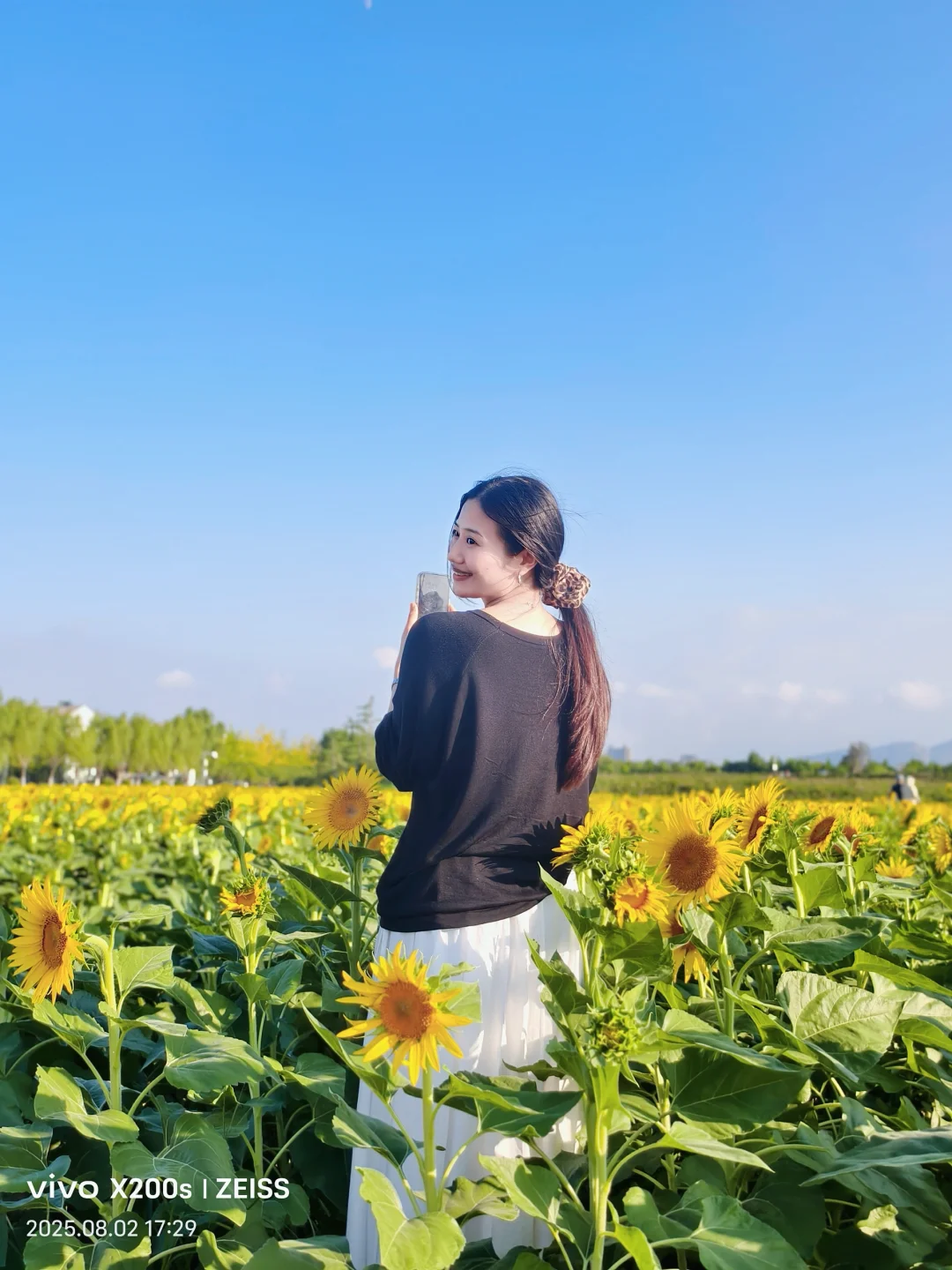 记录生活｜偶遇向日葵🌻