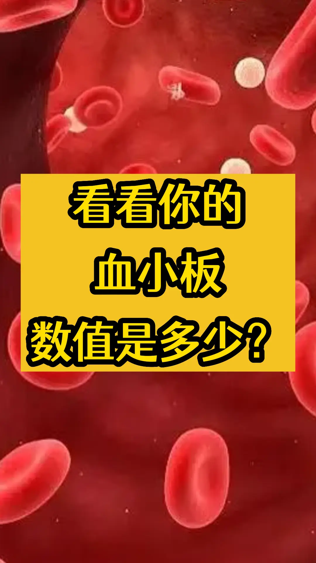 有网友问我只关注身体情况有没有症状，我不关注血小板有没有问题，或者是数...