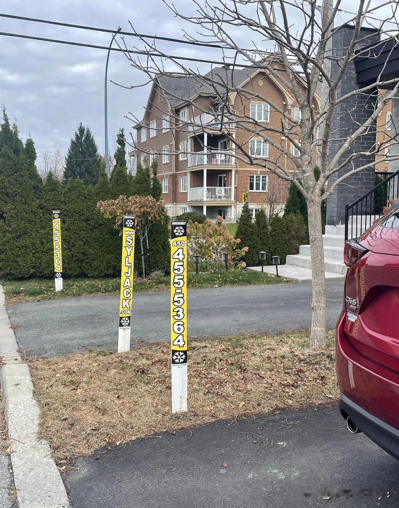 加拿大渥太华的冬季漫长且寒冷，每年的11月至次年的3月，几乎被大雪全覆盖。然而，