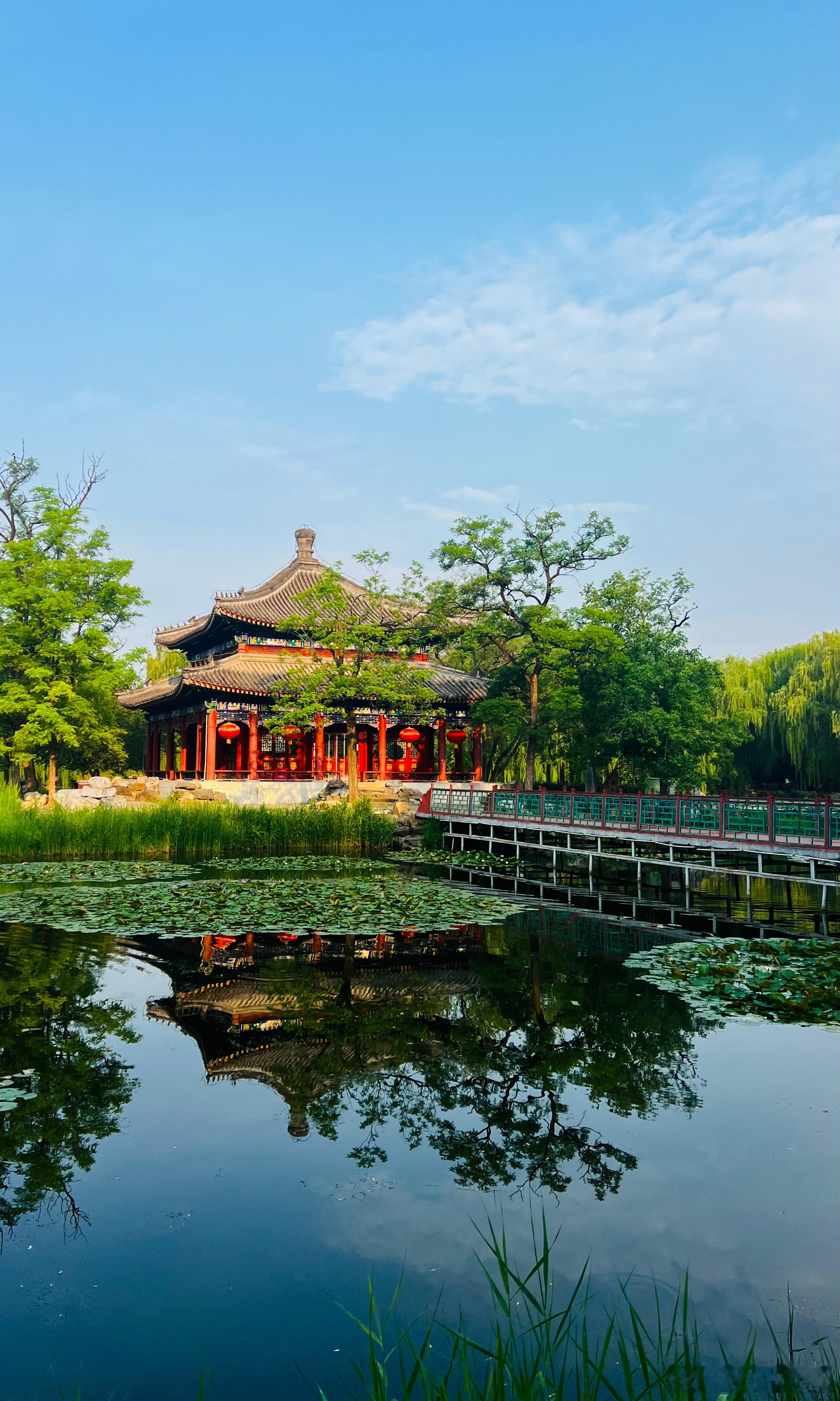 圆明园 夏日美景摄影​​​