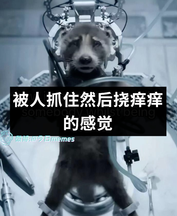 别了（9gag）今日meme今日memes