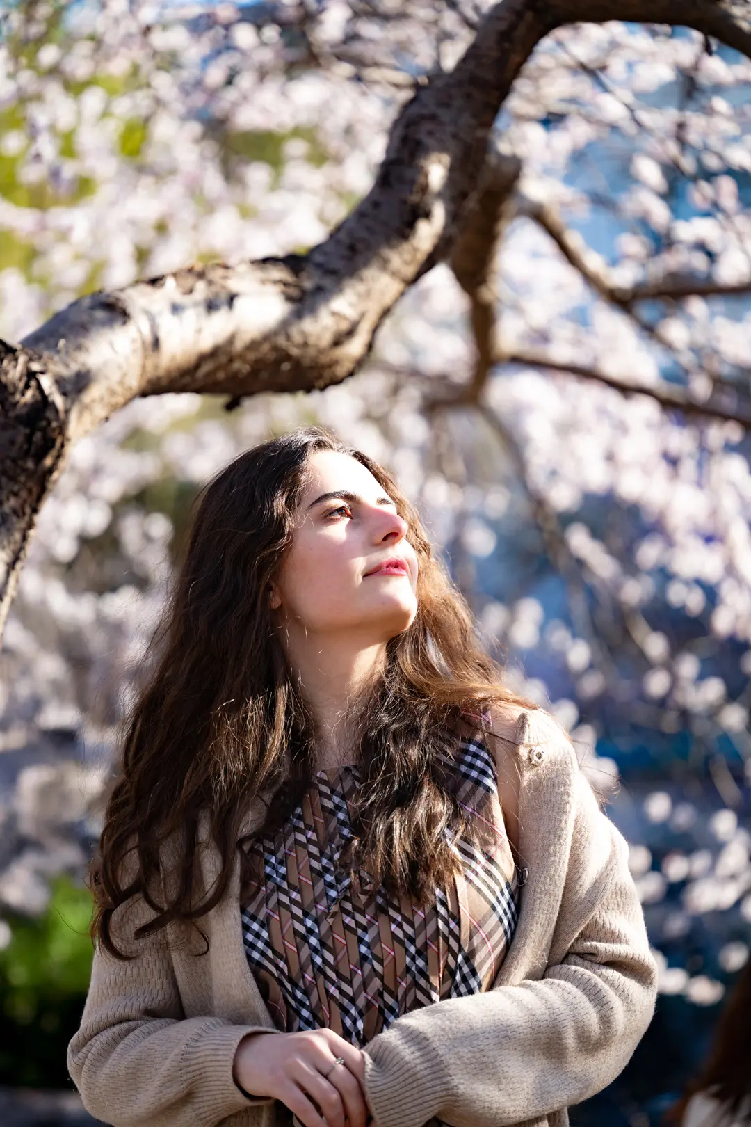 外国小姐姐（第二弹）