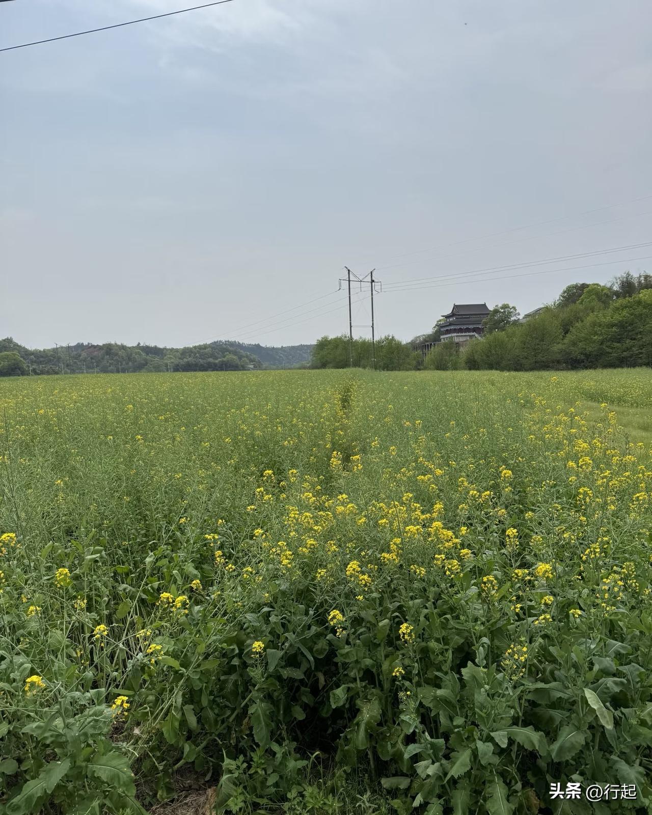 人老了真的很可怜！知道为什么老人很可怜吗？

困在床上吃喝拉撒，到最后饭也吃不下