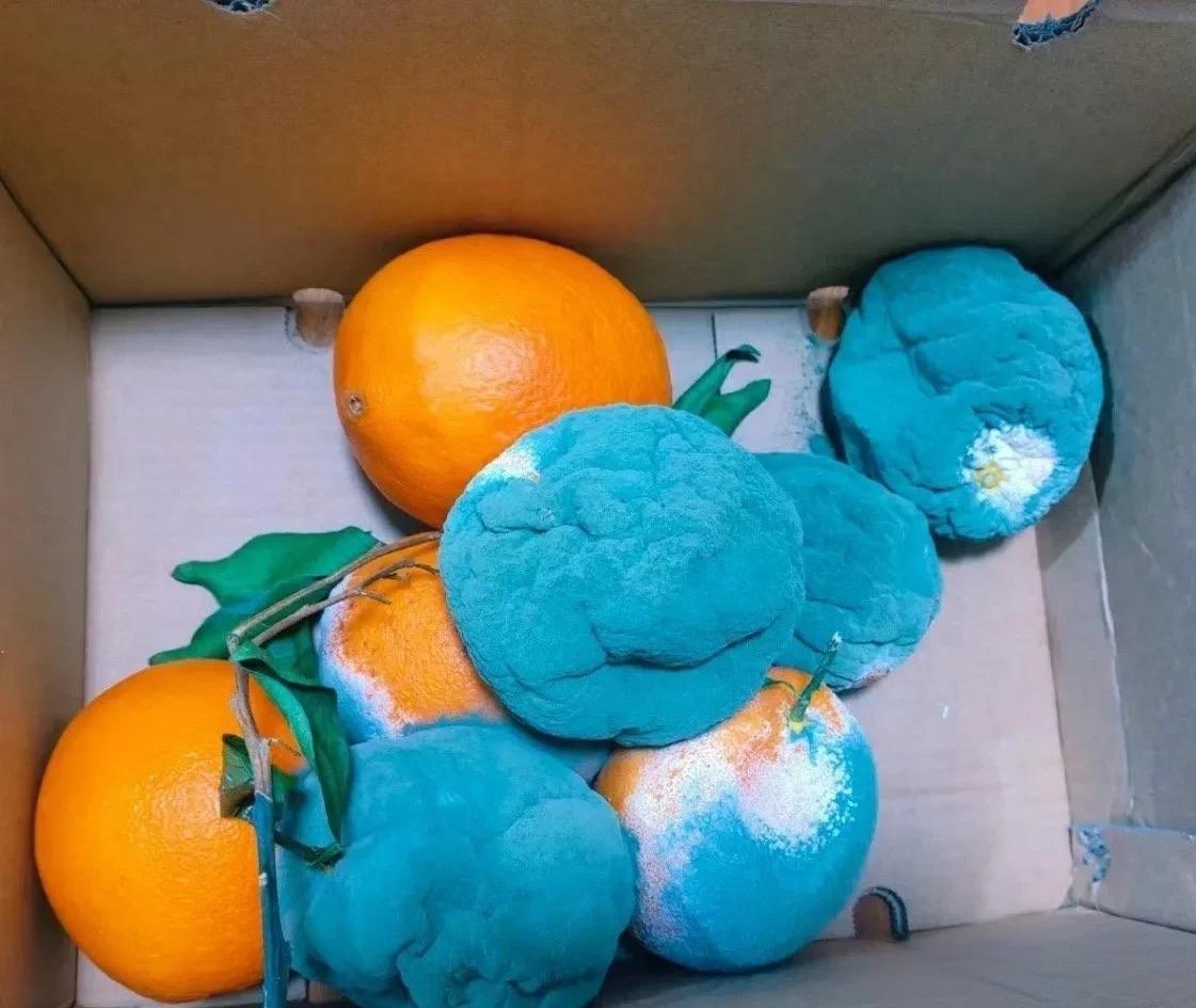 这怎么是蓝色的