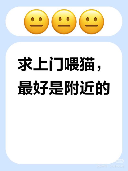 蹲北京通州次渠上门喂猫