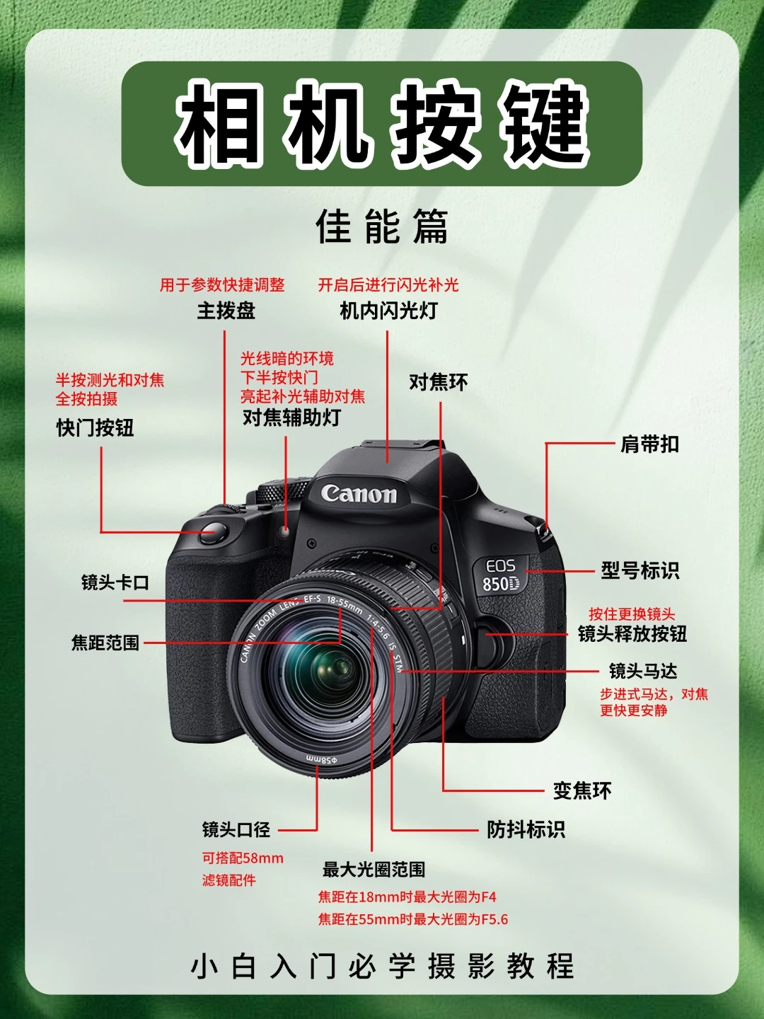 新手学摄影🎬新手入门5分钟学会相机使用
