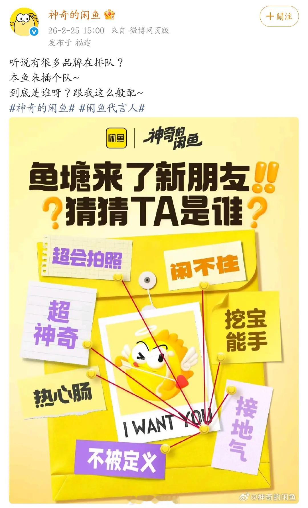 赵露思的商务好多