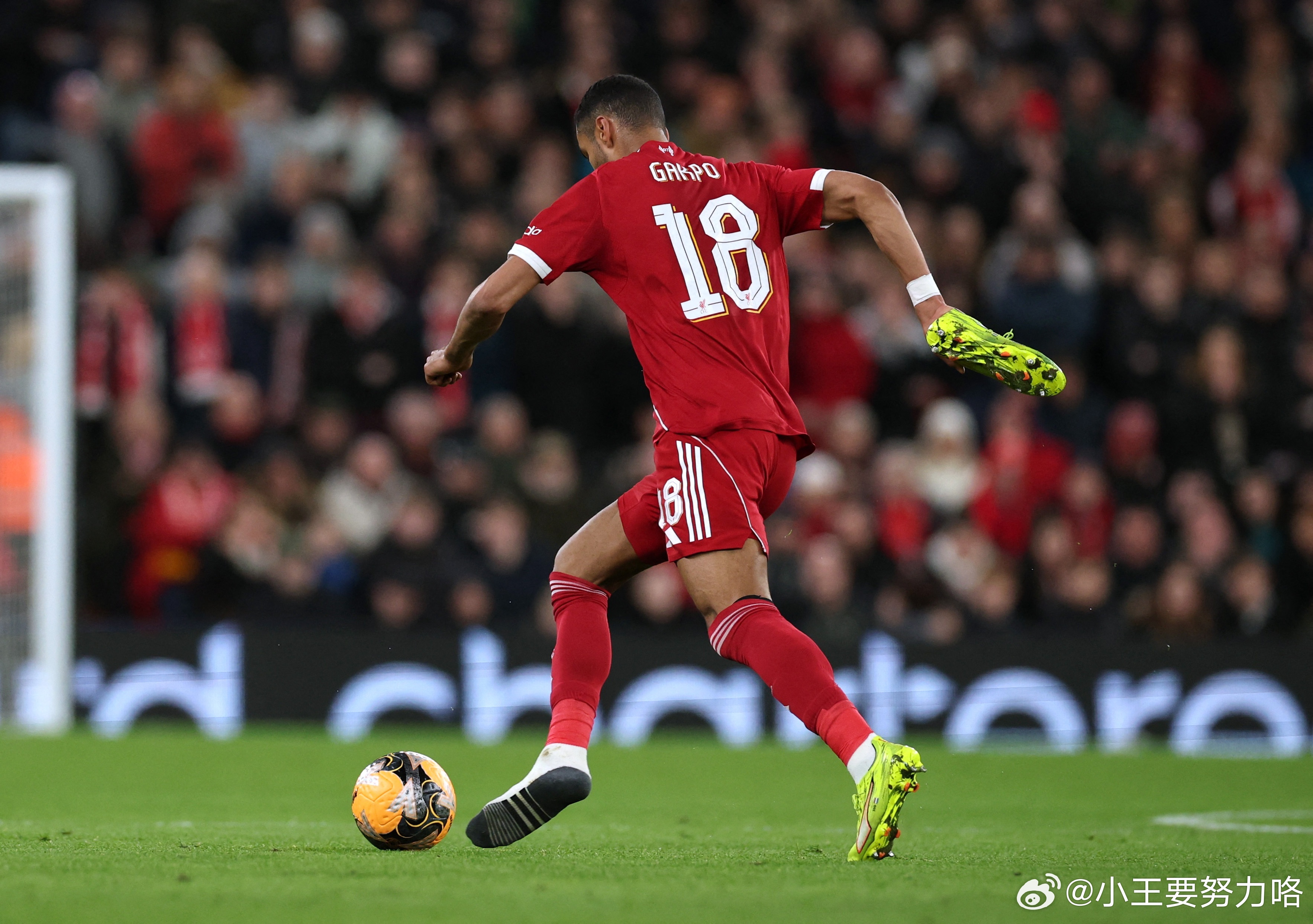 周六  荷甲看法024  埃因霍温 vs 阿尔克马本场给到埃因霍温六档的支持力度