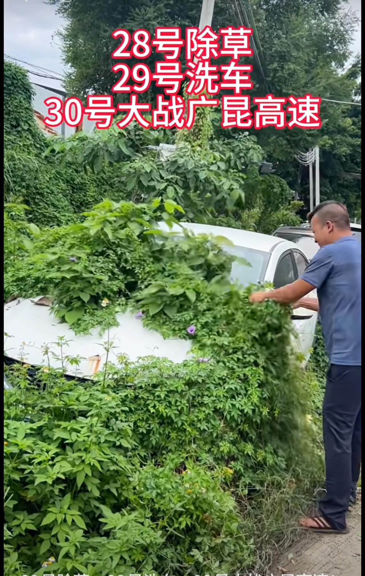 28号除草，29号洗车，30号大战广昆高速！顶峰相见！国庆假期