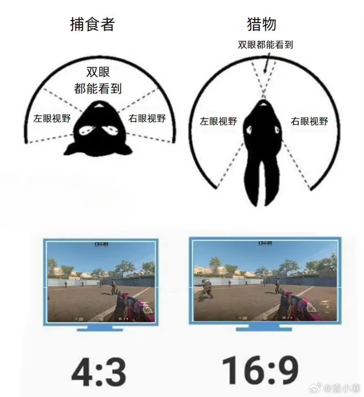 双眼视觉是立体的，能判断距离 ​​​