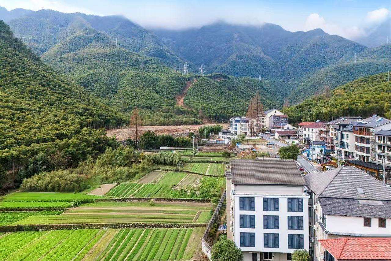 🌿安吉天荒坪镇五鹤村，藏着一家被竹林包围的清凉小院！坐拥安吉大竹海腹地，夏天平