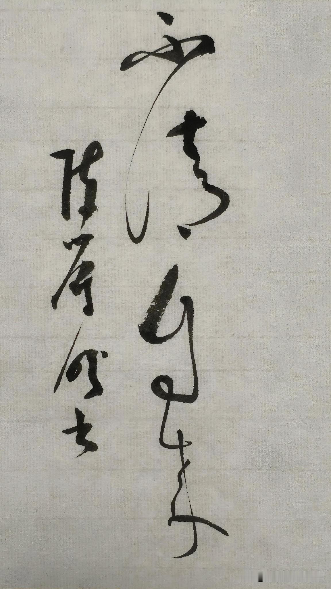 草书精品展示：不请自来