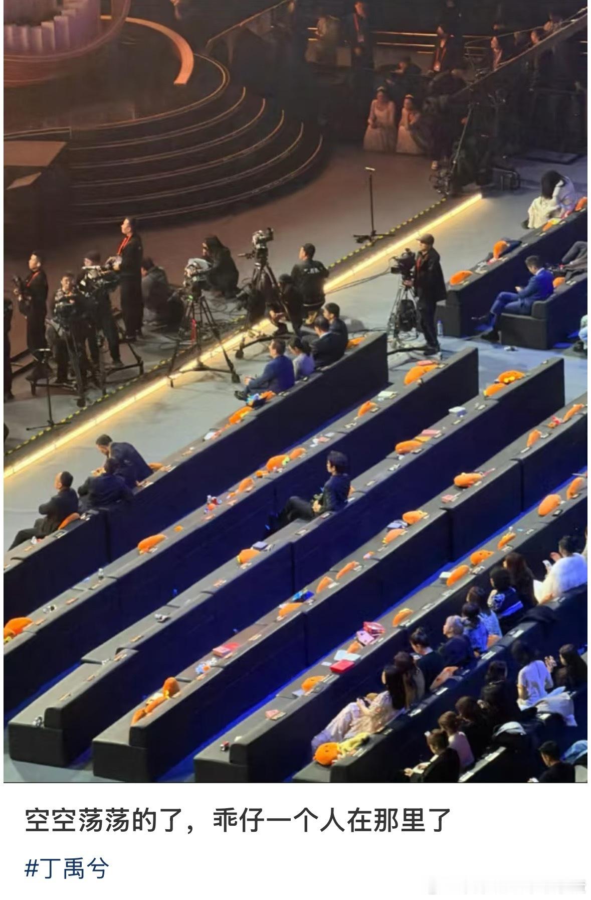 其实丁禹兮去年微博之夜也坐到了结束 