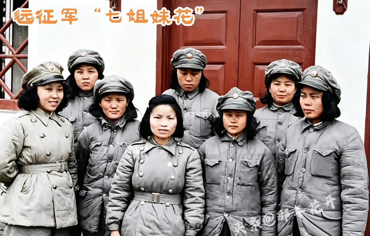 她们不是传说里的七仙女，是真扛过三十公斤电台的姑娘。青浦特训班出来的，学日语、背