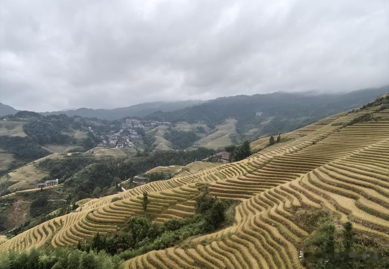 山是龙的脊，田是云中梯。金坑大寨，赴一场金色之约。

景区大巴在崇山峻岭间穿梭，