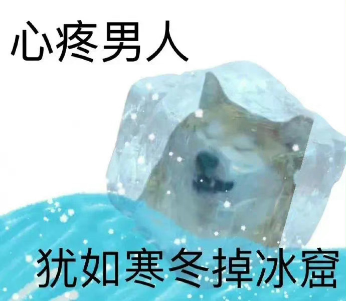 丰富一下你的表情包～ 