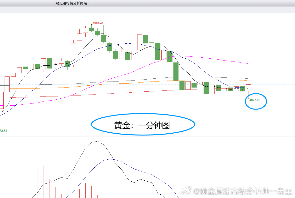 黄金4087位置空，现报4077位置已有100个点！博文跟随者利润达到80-10