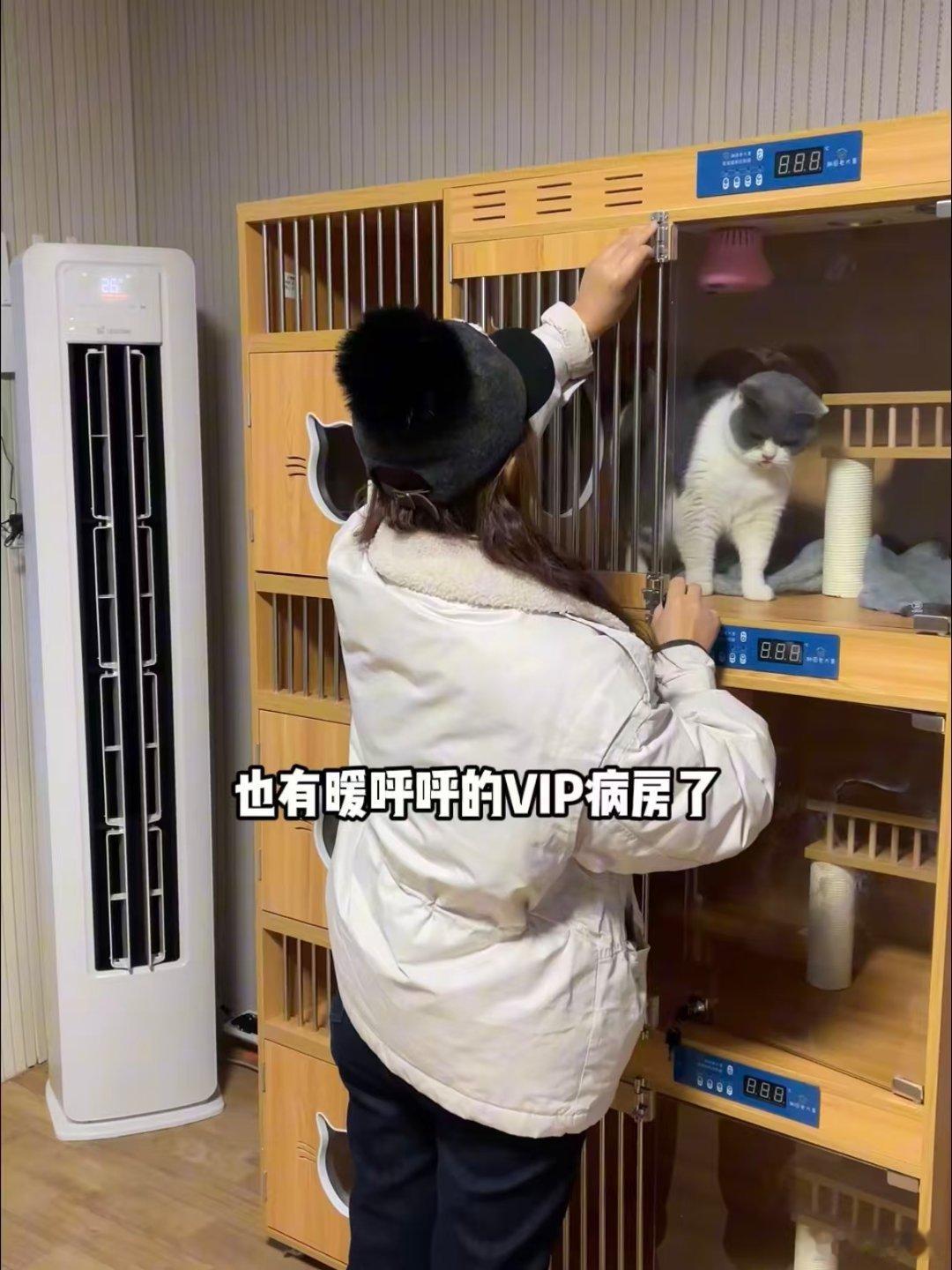 博主为60只流浪猫建过冬别墅 背地里还做了这好事呢？懒人新风空调这波到位。