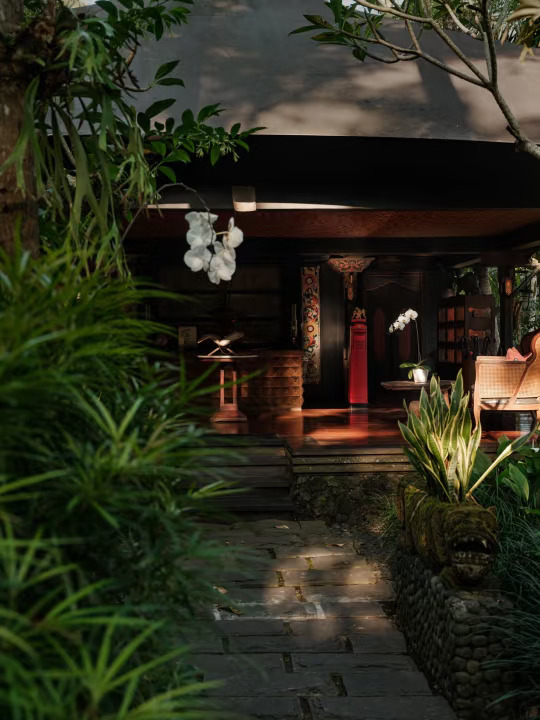 深入热带雨林，心也跟着变宁静