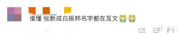 张新成白振邦名字都在互文 张新成演白振邦，是天作之合 。名字里的互文，是命运的伏