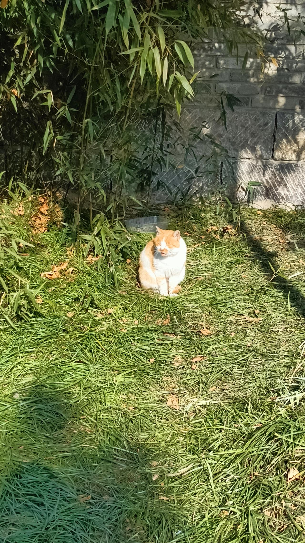 真诚永远是必杀技