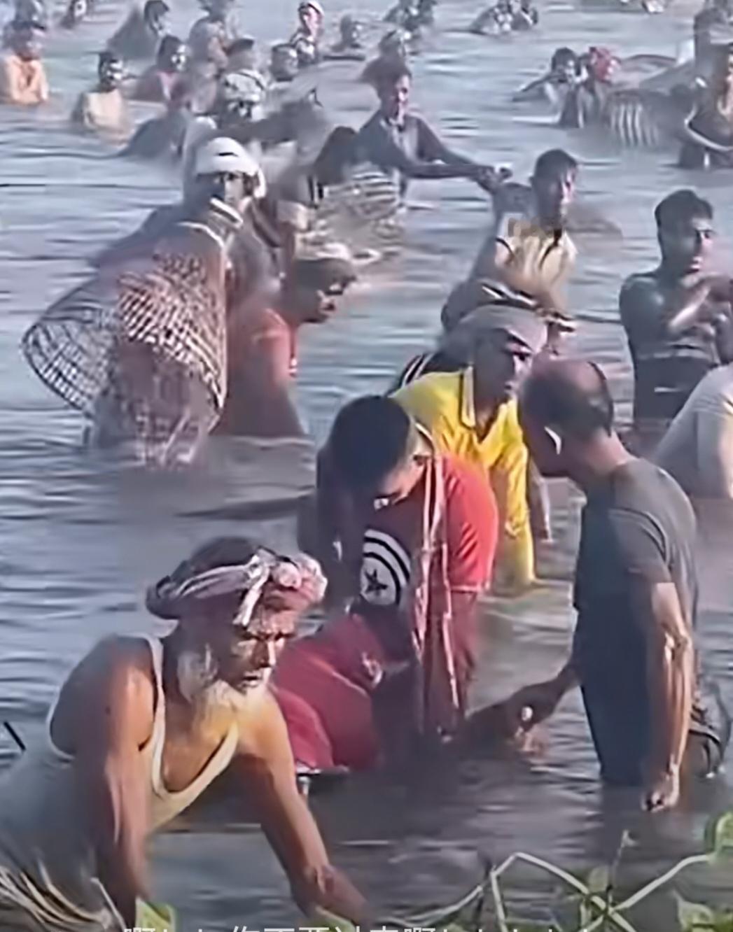 中方全面暂停进口日本水产品消息一出，好邻居印度马上视为利好，它想替代日本对华出口