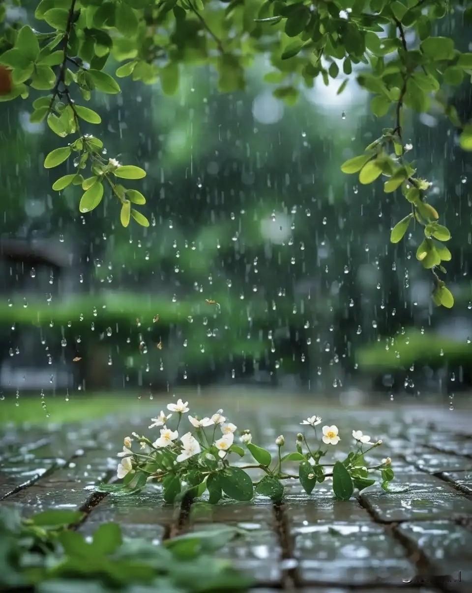 秋天的绵绵细雨
是一首温柔的诗篇
被雨水打湿的花朵
娇艳明媚又芳香
携着秋意步入