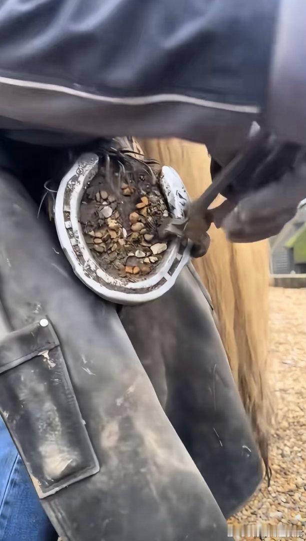强迫症的关联词为什么是极度舒适喜剧之王单口季小海这段观察太戳现实，抑郁症会收获安