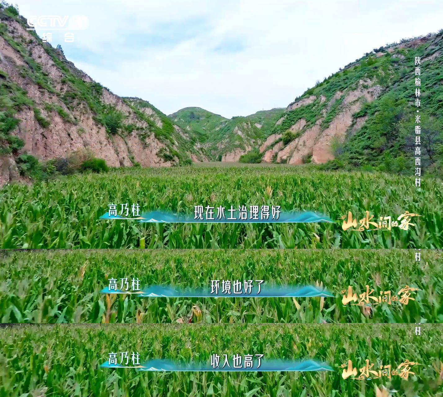 黄土高原变成了抹茶千层黄土高原变绿了 谁懂啊！黄土高原居然美成“美食系”美景！翠