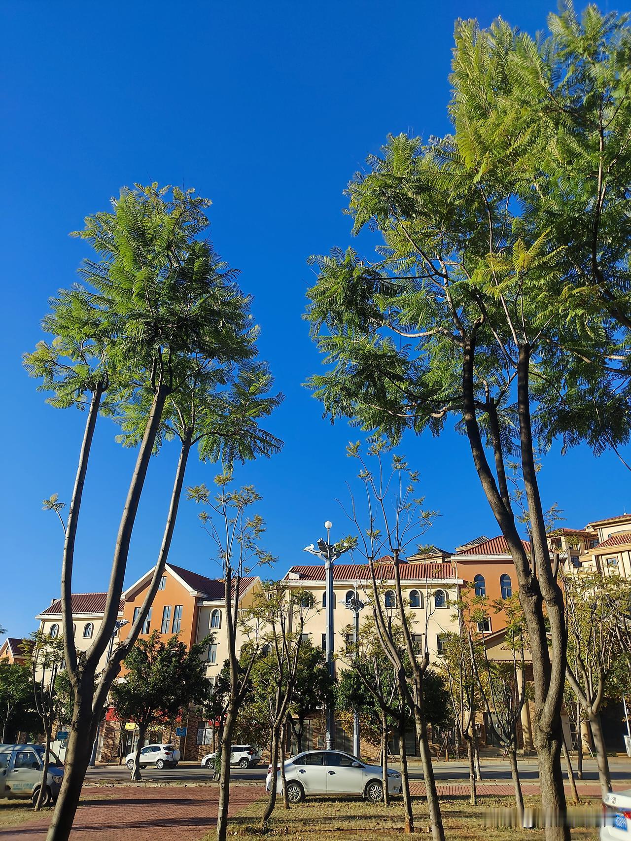 我刷视频的时候，看到好多人吐槽，开车多少公里，或者花了多少钱买了机票，来看一个灰