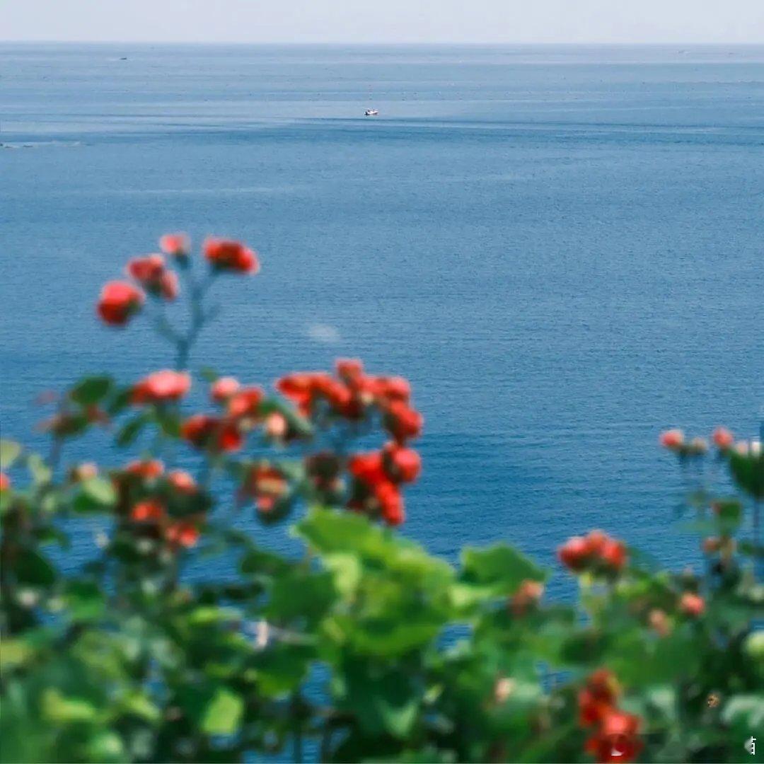 头像/表情｜自存朋友圈背景图 