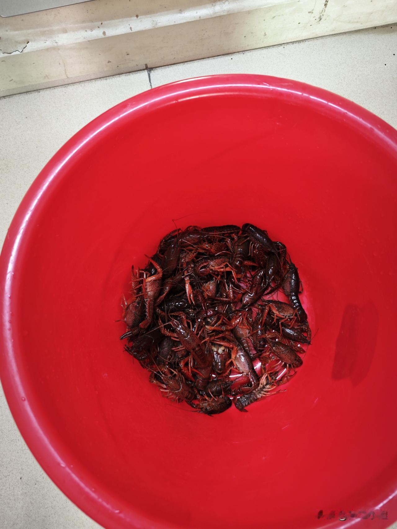 今天是五一，我和孩子没有去玩，老公还在努力上班中，今天天气也很热，我去超市买了两