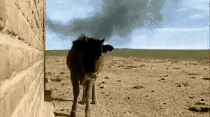 好闻吗？好闻你就多闻点，反正你不闻也是浪费了。