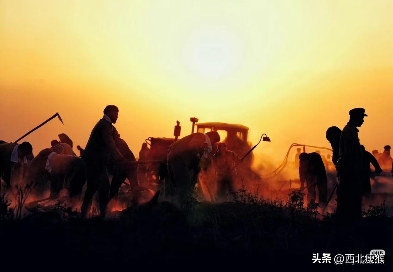 早点摊的灯已经亮了。李阿姨揉着面团，案板发出有节奏的闷响。她的手指粗糙，指缝里嵌