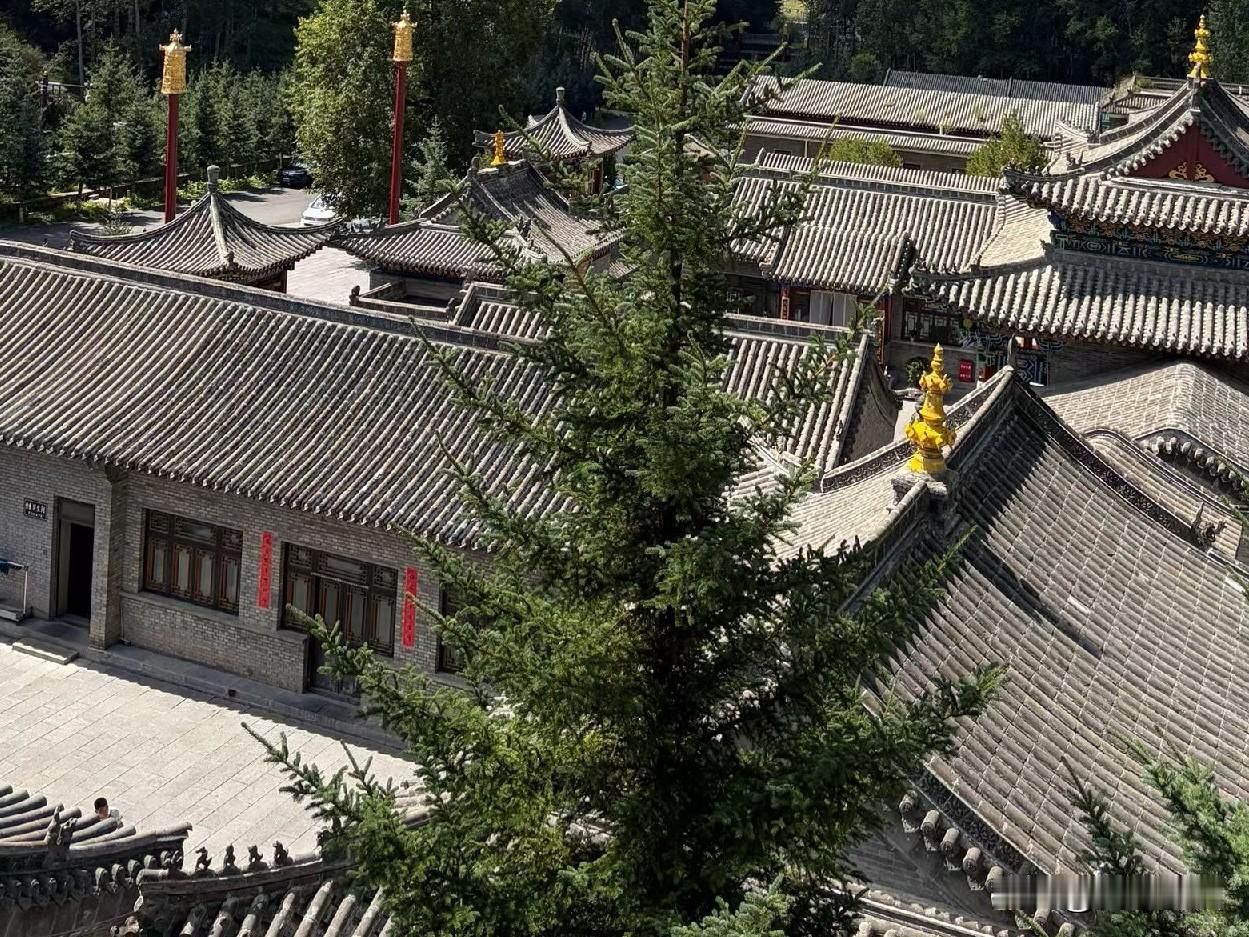 作为一个婆婆最大的清醒：就是别指望从别人身上获得幸福。婆婆以后的日子能不能舒心又