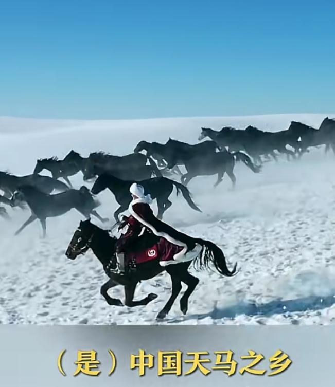 其实她真的太拼了，她坐办公室里，开开会，喝喝茶，处理处理公文，工资也不会少一分，