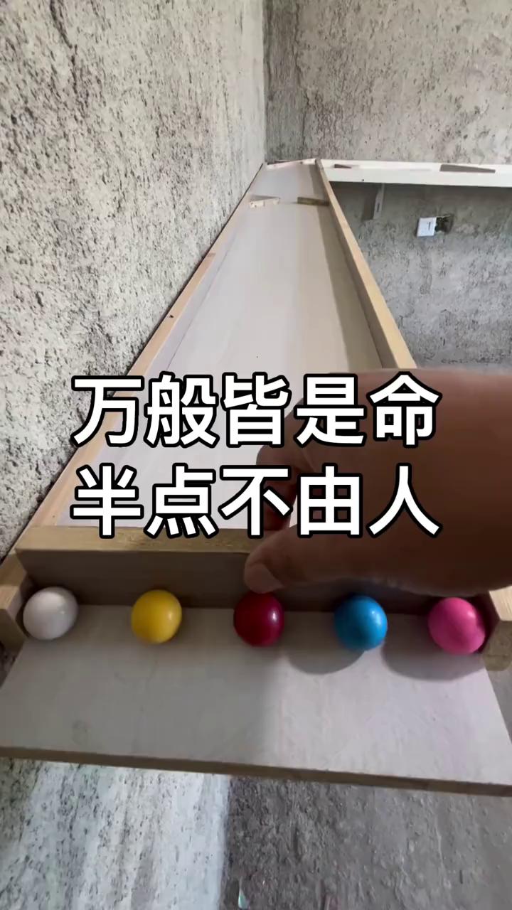 万般皆是命，半点不由人。