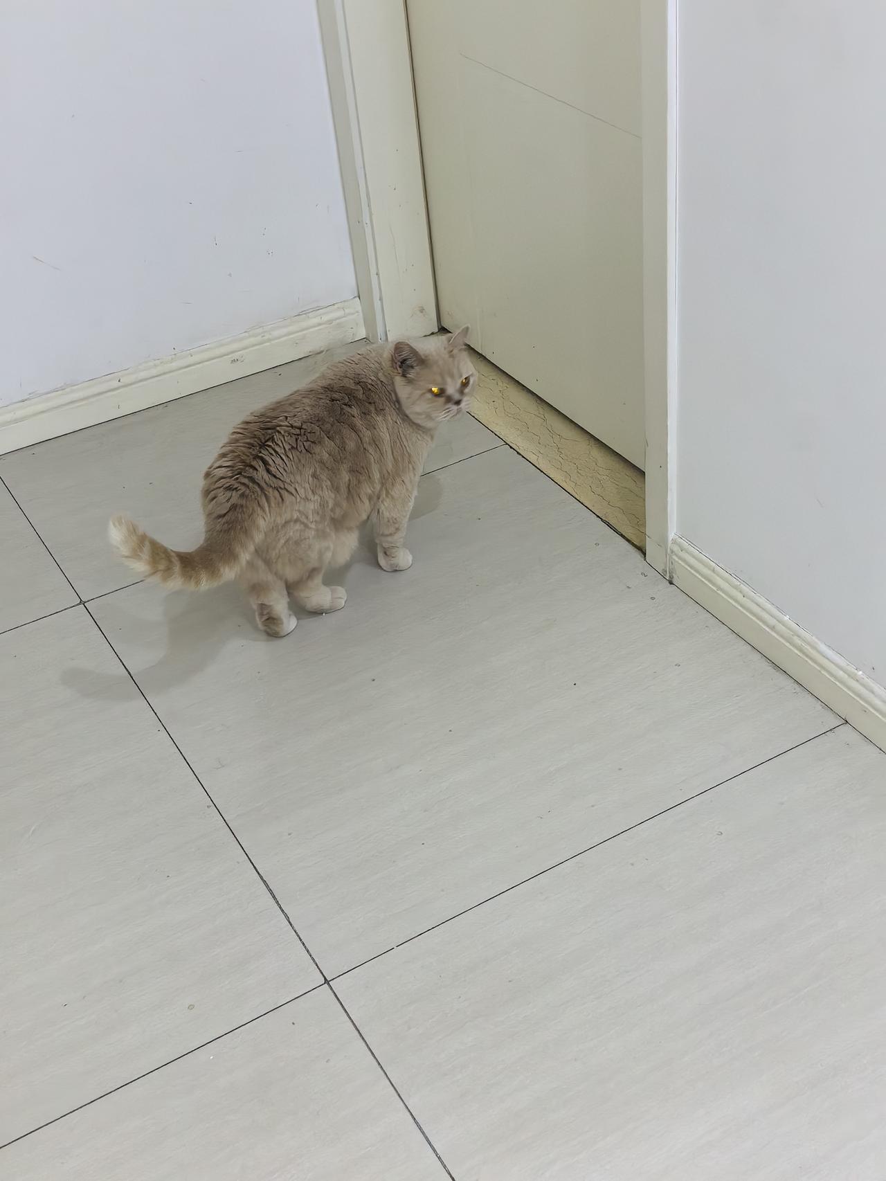 两姊妹长相性格迥异，在一起也会磕磕碰碰，打架斗殴是常态[捂脸]