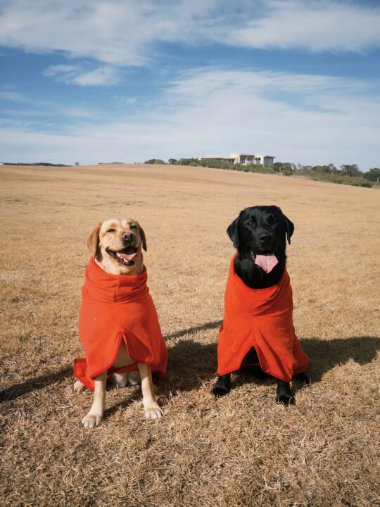 和妹妹的兄妹浴袍 🧖🏼‍♀️👑