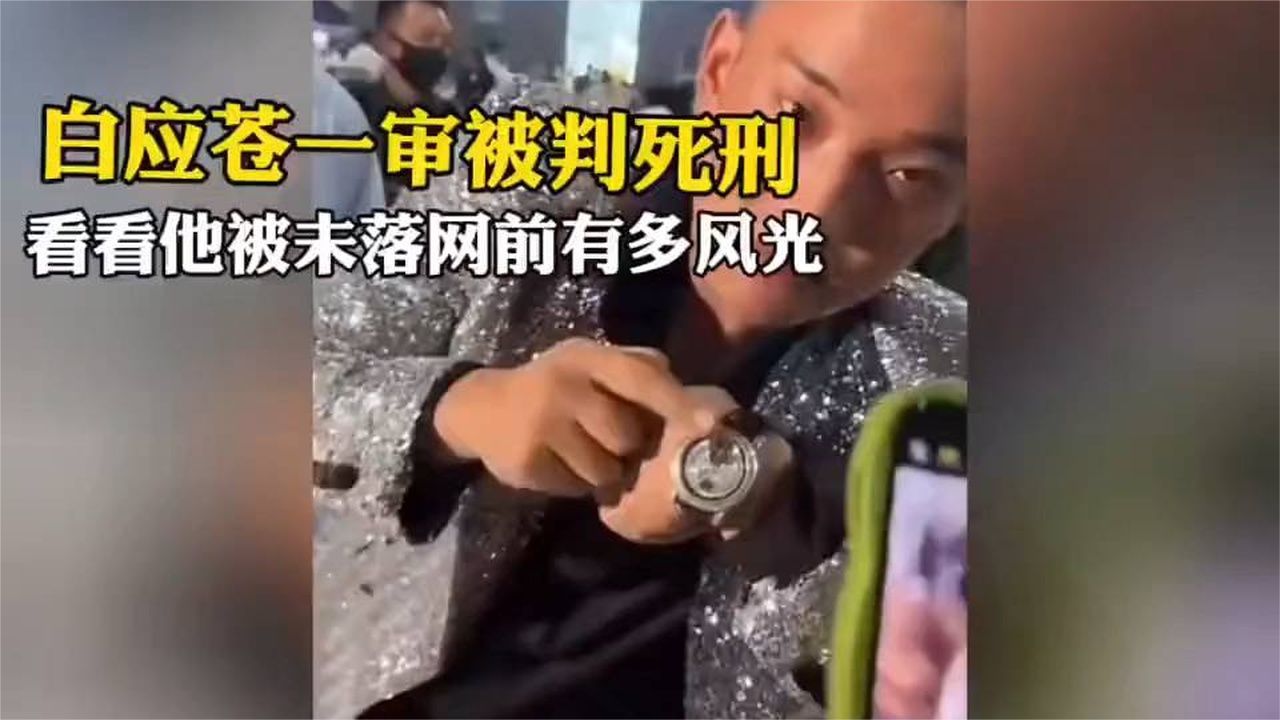 白应苍一审被判死刑，看看他未落网前有多风光