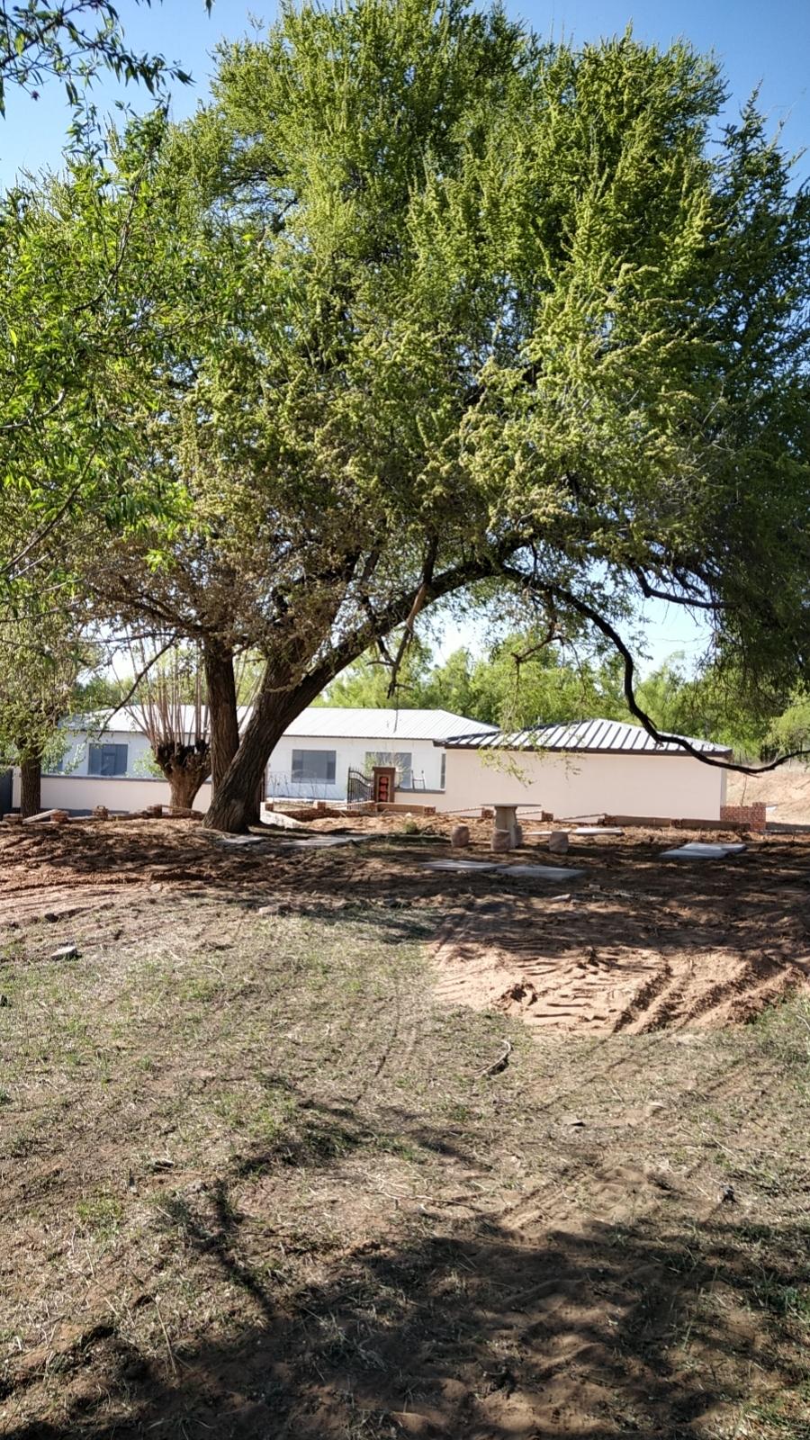 我这人闲不住，用同事的话说是受罪劳碌的命。的确，上班三十多年，办公室就待了近二十