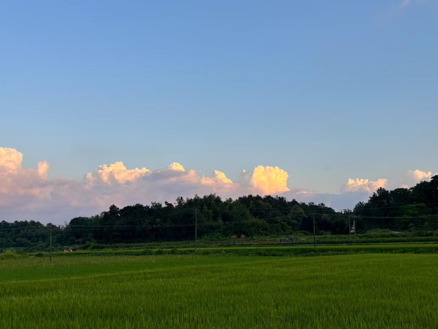 原来真的有人在享受夏天 