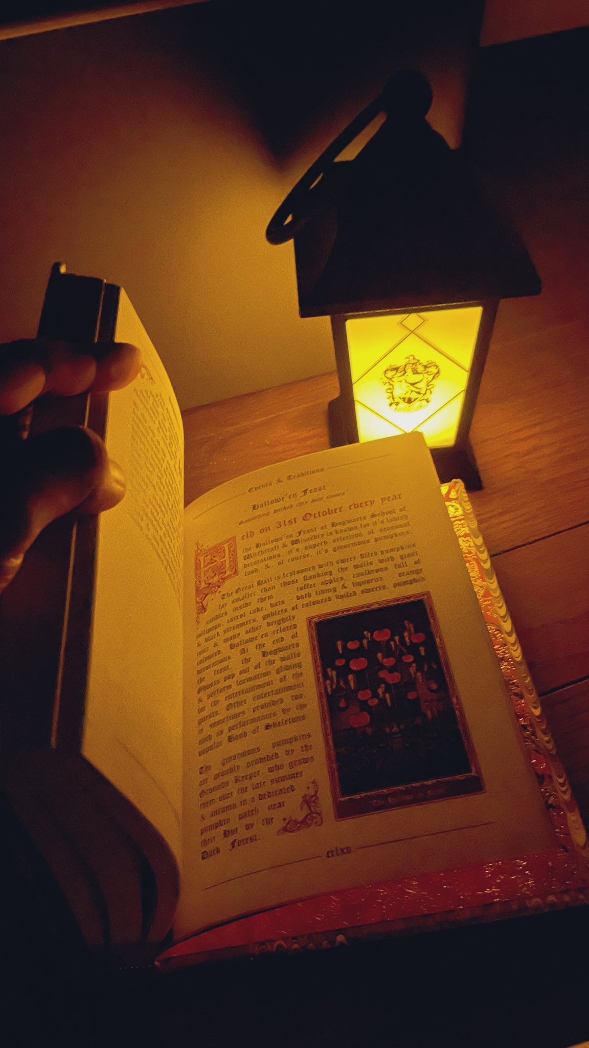 对于巫师来说，学会Lumos 就足够了，而麻瓜们只能用灯光照明。日本环球影城这款