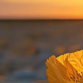 每日一善 每日一善 阳光信用 努力让自己变强，什么时候都不晚努力的意义，不在于一