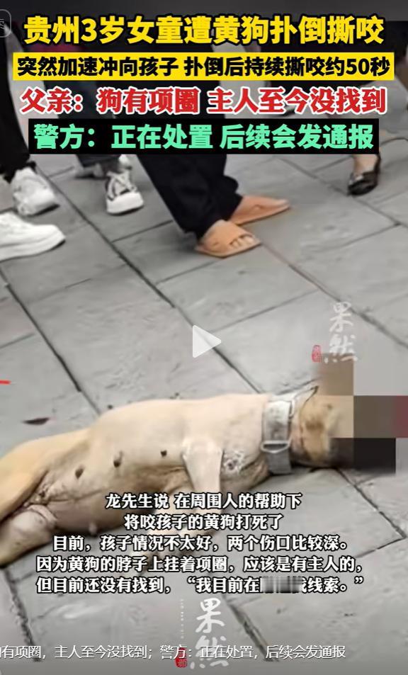 “狗咬人就没人认了？”贵州凯里，一女子带3岁女儿刚走出超市，一条戴着项圈的黄狗冲