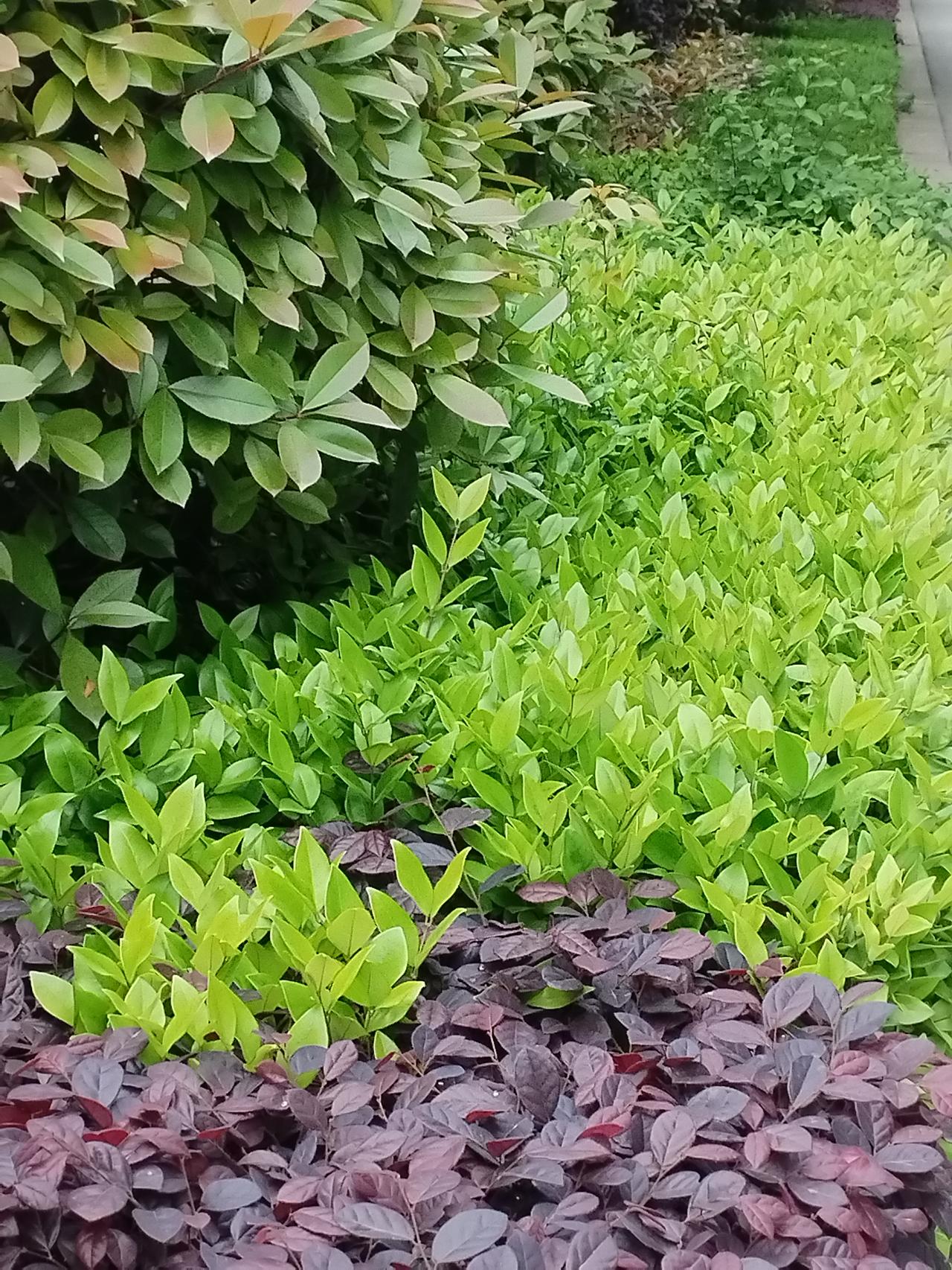“年年顺顺利利”这句话表达了对每年顺利、顺心、顺畅的美好祝愿。它的特点是：

结