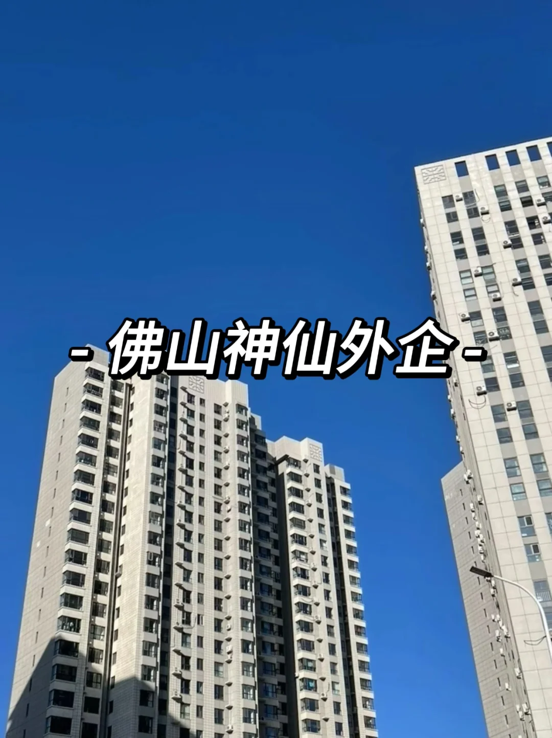 佛山这些外企还是很香的