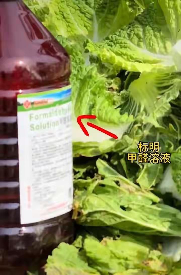 “甲醛白菜”再次叩问良知：我们强大富有了，诚信不能越来越稀缺

还有多少“甲醛白